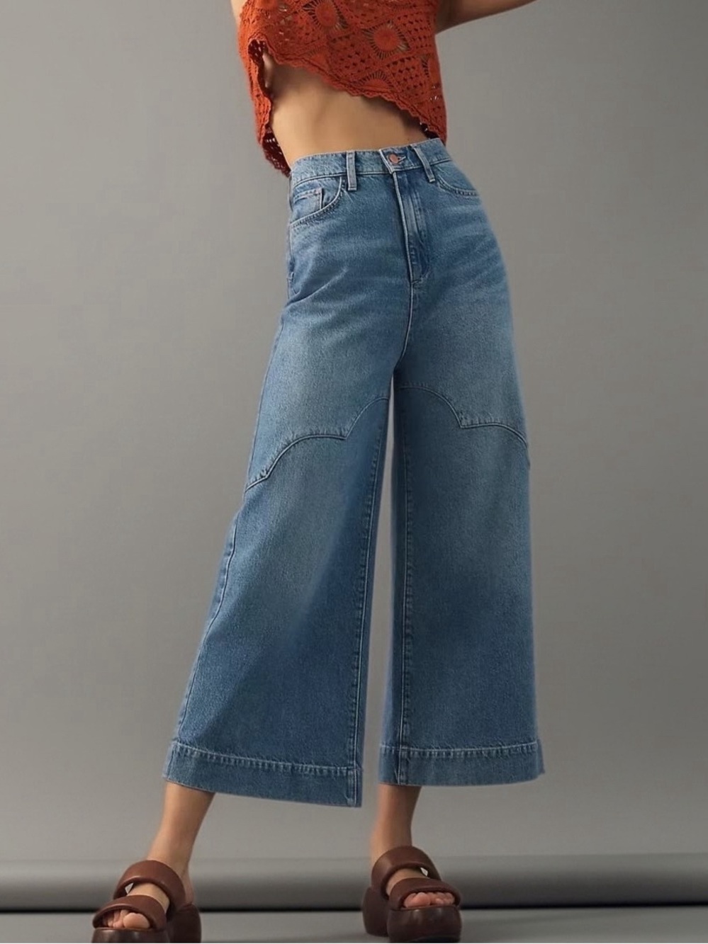 TRIARCHY Ms. Ava Cloud Stitch High Rise Wide Leg Cropped Blue Jean--NWT--28